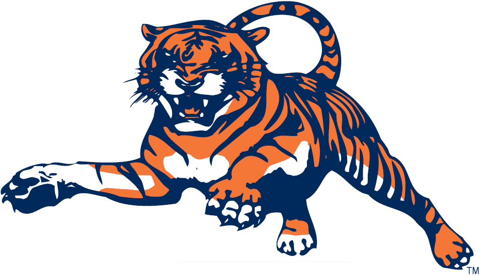 Auburn Tigers 1982-1997 Alternate Logo iron on transfers for T-shirts